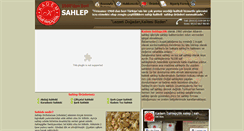 Desktop Screenshot of kademsahlepcilik.com