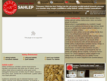 Tablet Screenshot of kademsahlepcilik.com